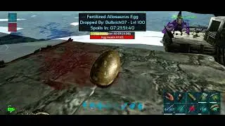 Hatching egg with super incubator an baby allos ark.