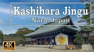 4K Kashihara Jingu in Nara, Japan. Walk around the area. Let's go sightseeing at Kashihara Jingu!!!