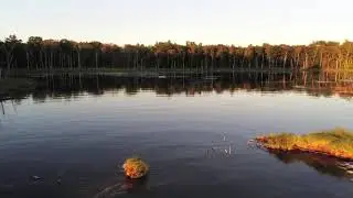 drone flight lily lake georgian bay