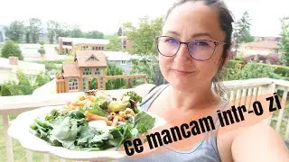 Ce mananc intr-o zi ! Eu, familia mea si batranii ! Retete vegane !