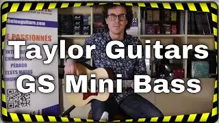 Taylor Guitars GS Mini Bass - Test Matos
