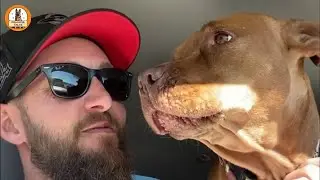 He Had No Name, No Hope&hellip;Until Someone Looked Twice at the Back of the Shelter