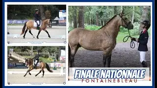 [CONCOURS] Finale CCJP 4 ans dressage à Fontainebleau