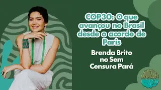 COP 30: O que avan&ccedil;ou no Brasil desde o Acordo de Paris