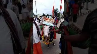 KrishnaRajaPete Jodi Basava