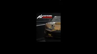 100,000 euro competition finale ACC round 15 the finale N&uuml;rburgring 1 hour 30 mins
