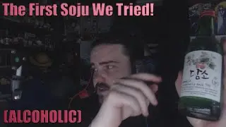 Damso Strawberry Soju (ALCOHOLIC) Taste Reaction/Review The First Soju We Tried!