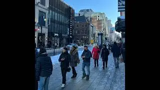 Montreal&rsquo;s chamber of commerce is calling for &ldquo;real&rdquo; consultation on Sainte-Catherine Street