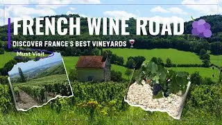 How to Travel the French Wine Road 🍷  A Guide to France&rsquo;s Most Beautiful Vineyards!🍇