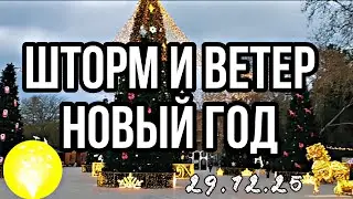 УЛЕТАЕМ ОТ ВЕТРА 🎐 🌬️😱# АНАПА 29.12.25
