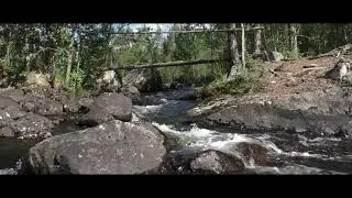 Flowing River Water Sound [Relaxing] 🎵
