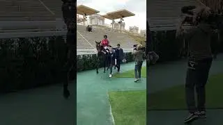 Winner at Longchamp! Good boy, Jack - again!! #happyhorse #racehorse #galloping