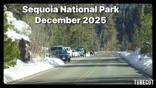 Trip to Sequoia Dec 2025