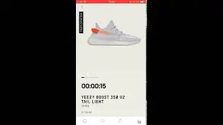 Adidas Yeezy 350 V2 - Tail Light live cop