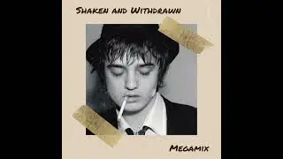 Shaken & Withdrawn Megamix 2004 - Peter Doherty