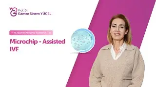 Microchip-Assisted IVF | Professor Doctor Gamze Sinem