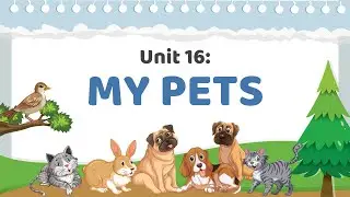 Unit 16: My pets - Tiếng Anh 3 (Global Success) [OLM.VN]
