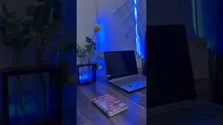 How to care money plant indoor✅ #divinegarden98 #moneyplant #shortsvideos