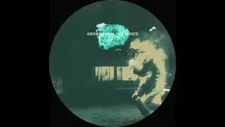H&eacute;ctor Oaks - Bringing Down Their System [OAKS08]
