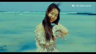 The Pure Lotus Brand Introduction
