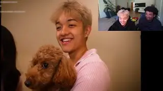 Jason React To Cute Edit Of Him & Sakura's Dog Mica!