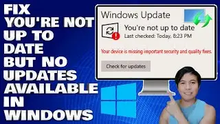 How To Fix You're Not Up To Date But No Updates Available in Windows