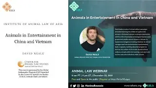 Animals in Entertainment in China and Vietnam