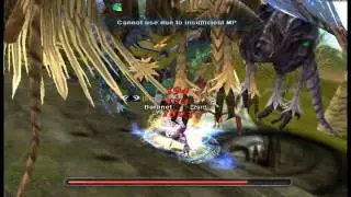 _WizZzard_  Shaitan kill 35 (1vs1)