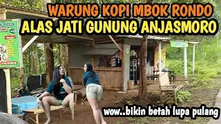 VIRAL WARUNG KOPI MBOK RONDO ALAS JATI || bikin betah lupa pulang 