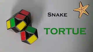 Making a turtle with the Rubik's Snake (twist) | Step-by-step tutorial