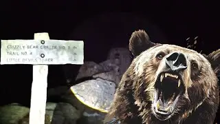 Man vs Bear stories | Black Elk at Night