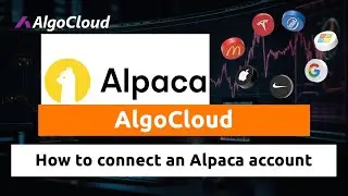 How to create Alpaca account and connect with AlgoCloud