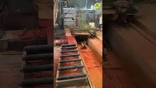 Cutting Wood