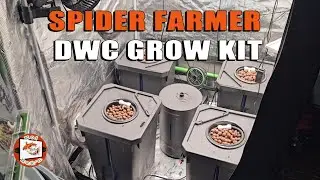Решение проблем | Набор для выращивания растений Spider Farmer DWC из 4 предметов