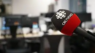 Reporter Colin Butler calls scammers posing as the CRA