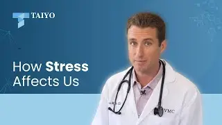 The Impact of Stress and Anxiety on Our Lives | Taiyo International