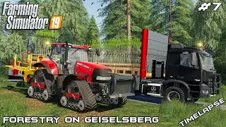 Planting trees | Forestry on Geiselsberg | Farming Simulator 19 | Episode 7