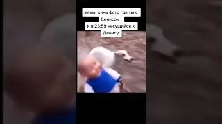 мем