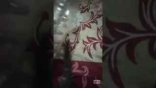 Diy Kanha ji chair