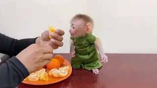 Lil Ronaldo Sit Anxi0usly To Eating Yummy Oranges Fruit