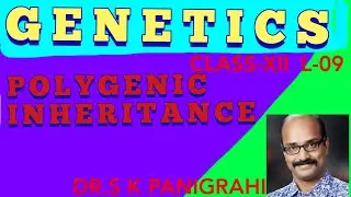 POLYGENIC INHERITANCE//QUANTITATIVE INHERITANCE//MULTI FACTOR INHERITANCE