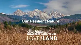Our Resilient Nature