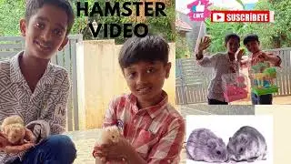 Hamster Care Tips in Tamil | Pet Lovers Guide | ஹாம்ஸ்டர் பற்றிய சுவாரஸ்யமான தகவல்கள் 🐹🐹