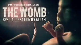 THE WOMB┇ SPECIAL CREATION BY ALLAH ᴴᴰ NBA PRODUCTION