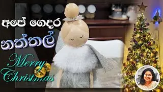 අපේ සුන්දර නත්තල් සැමරුම සහ ගෙවත්තේ අලුත්ම විස්තර | Christmas decorations & garden updates | Sinhala