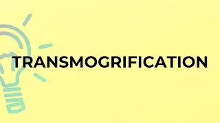 What is the meaning of the word TRANSMOGRIFICATION?