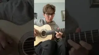 The Brazilian country guitar (Viola Caipira)