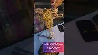 Food @ Timber Trail Resort | Just 45 minutes Drive From Chandigarh #mustvisit 😍 #ytshorts #chowmein