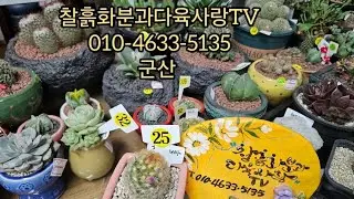 #찰흙화분과다육사랑TV 라이브 스트리밍 중