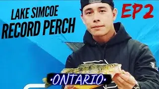 LAKE SIMCOE - RECORD PERCH - EP 2